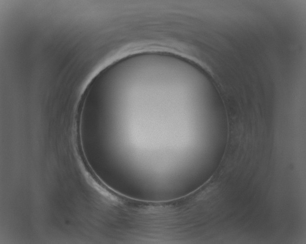 X0000051921518200506241455
