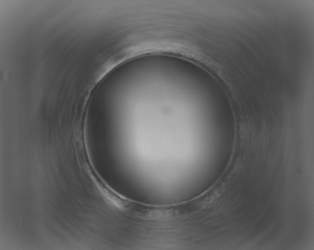 X0000051921521200506241455