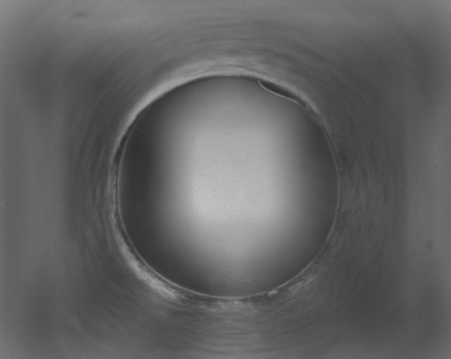 X0000051921526200506241456