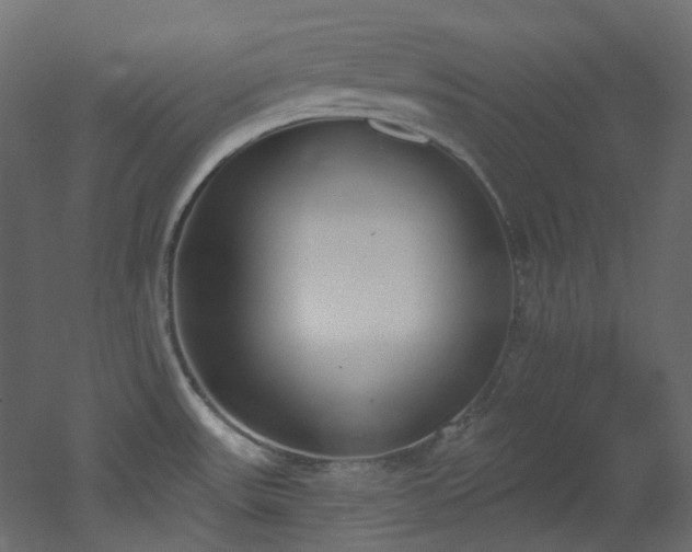 X0000051921531200506241456