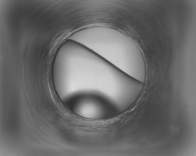 X0000051920001200507011612