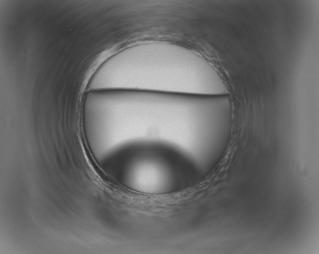 X0000051920003200507011612