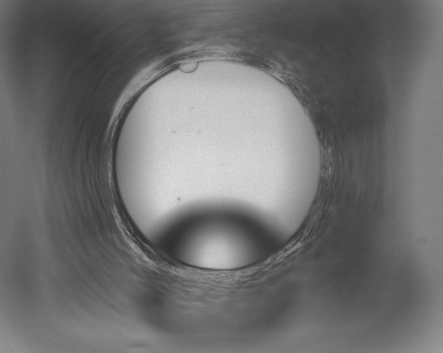 X0000051920004200507011612