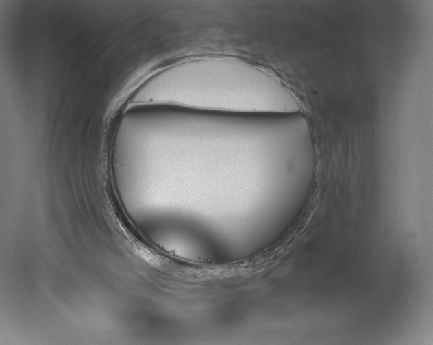 X0000051920005200507011612