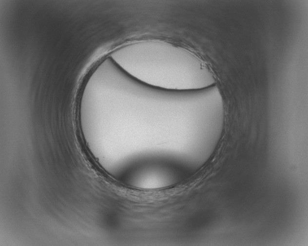 X0000051920006200507011612
