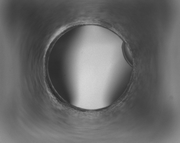 X0000051920008200507011612