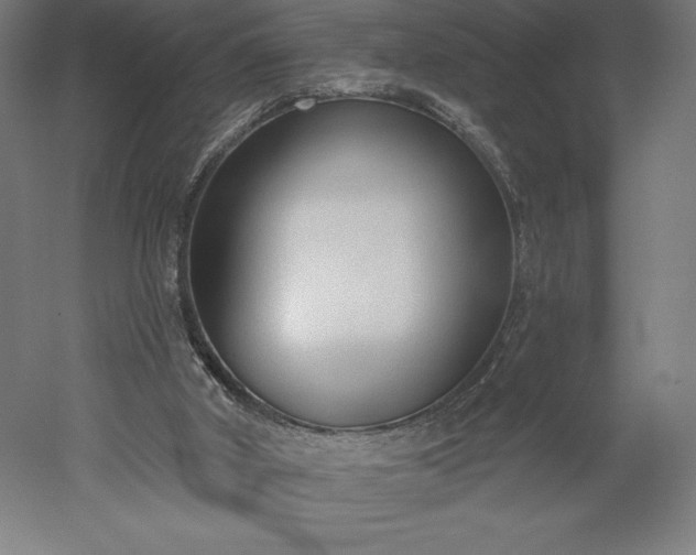 X0000051920010200507011612