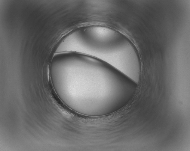 X0000051920013200507011612