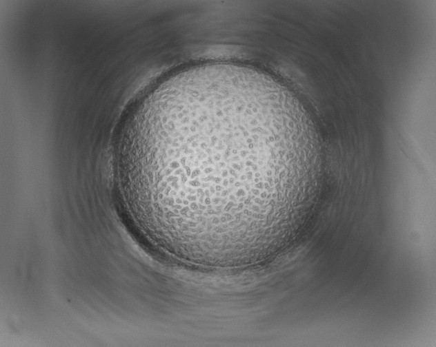 X0000051920016200507011612