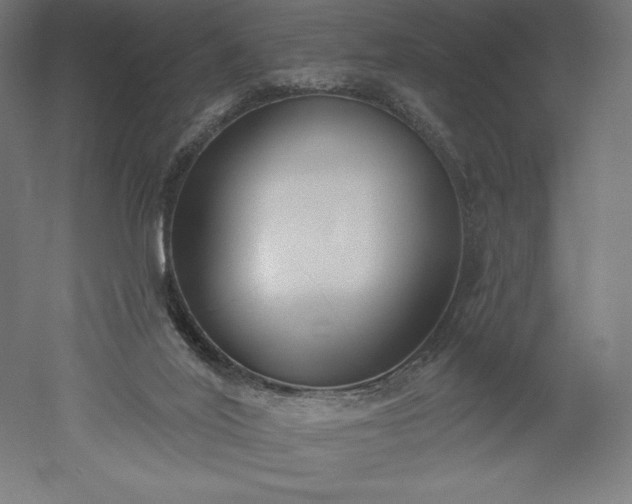 X0000051920020200507011612