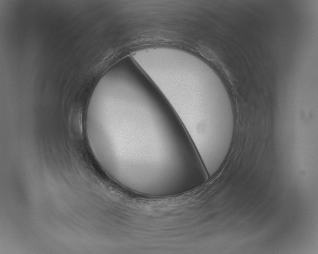 X0000051920021200507011612