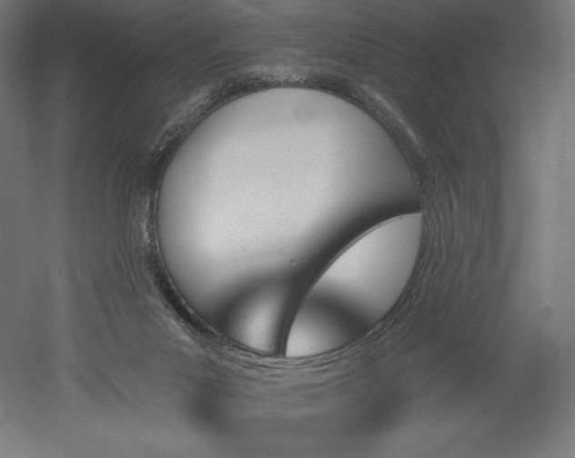 X0000051920023200507011611
