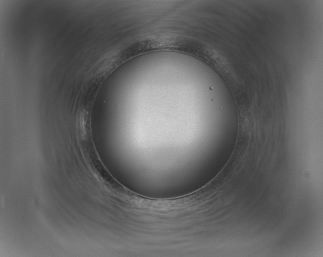 X0000051920026200507011611