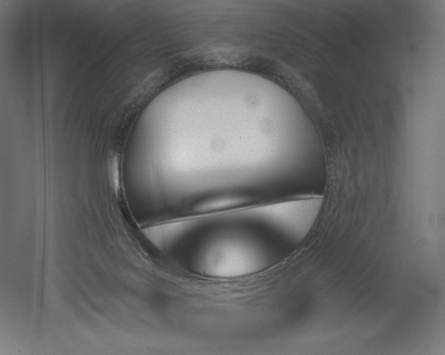 X0000051920027200507011611