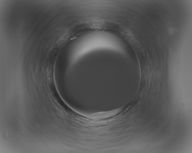 X0000051920031200507011611
