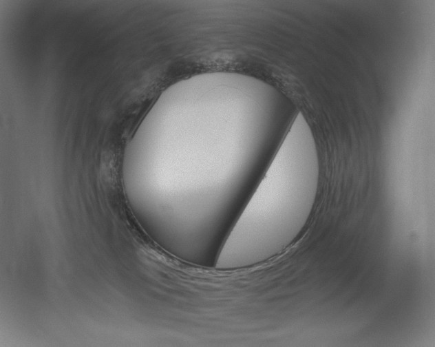 X0000051920037200507011611