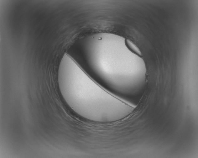 X0000051920040200507011611
