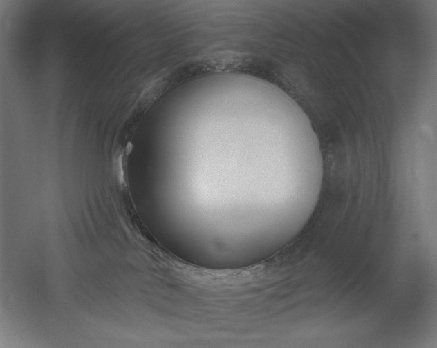 X0000051920042200507011611