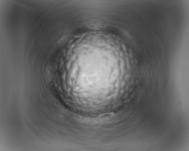 X0000051920043200507011611