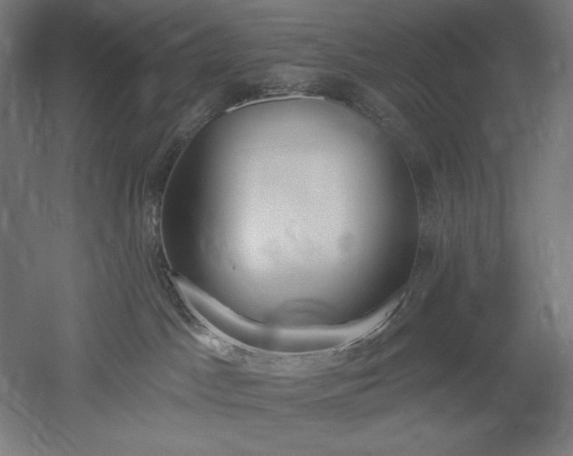 X0000051920045200507011611