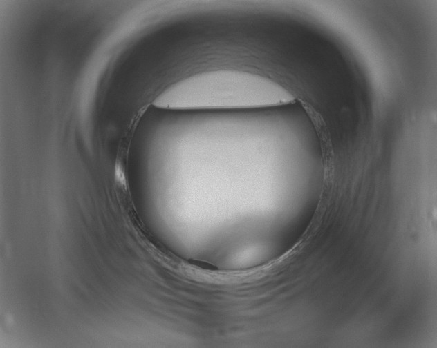 X0000051920047200507011611