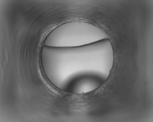 X0000051920049200507011610