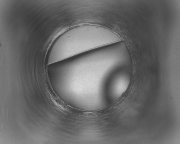X0000051920050200507011610