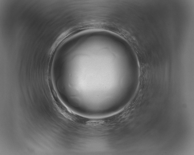 X0000051920051200507011610
