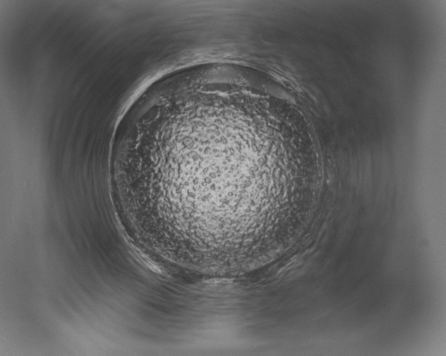 X0000051920052200507011610