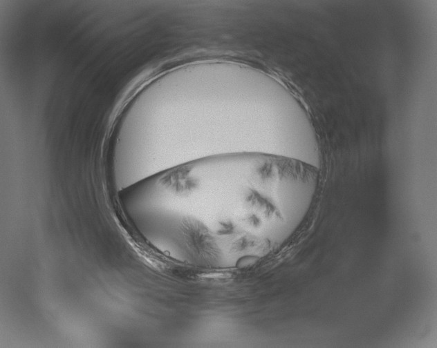 X0000051920053200507011610