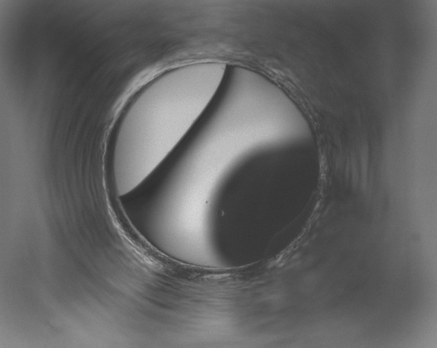 X0000051920054200507011610
