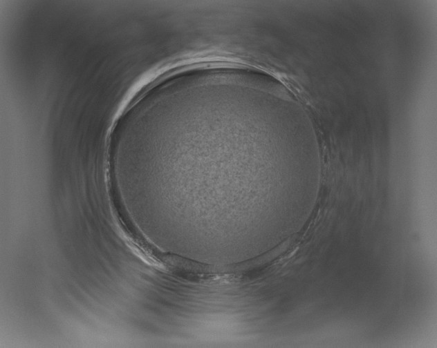 X0000051920056200507011610