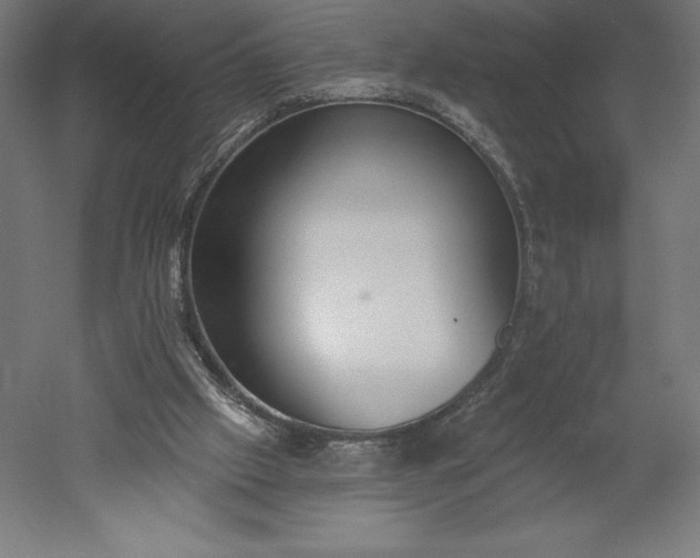 X0000051920057200507011610