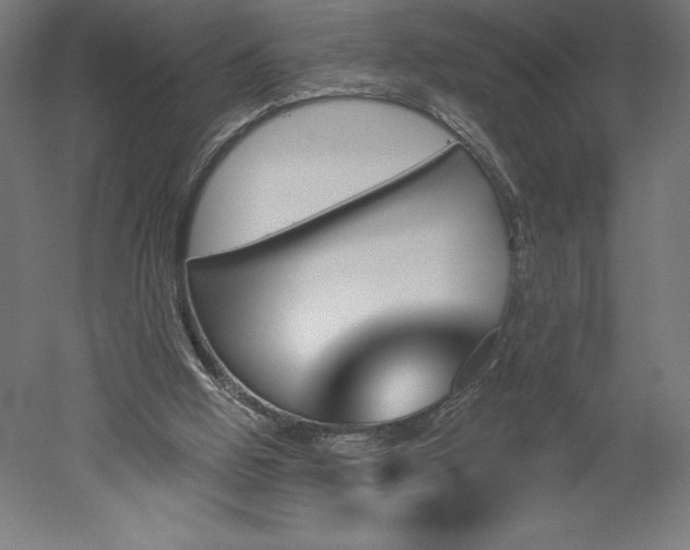 X0000051920058200507011610