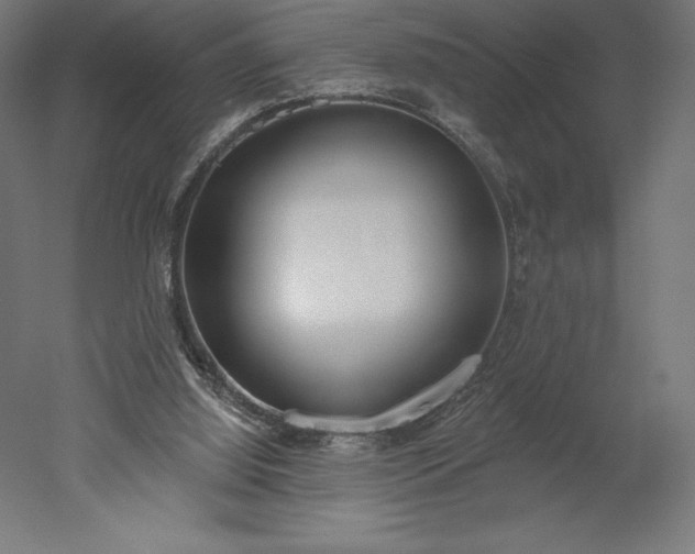 X0000051920060200507011610