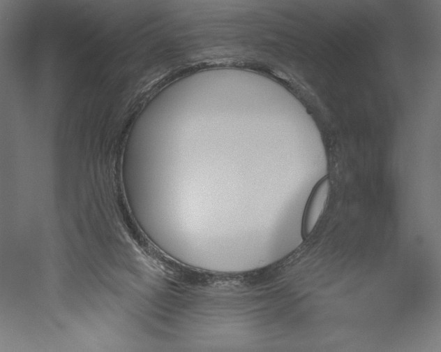 X0000051920066200507011611