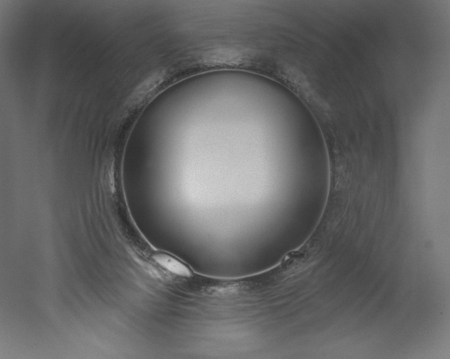 X0000051920068200507011611