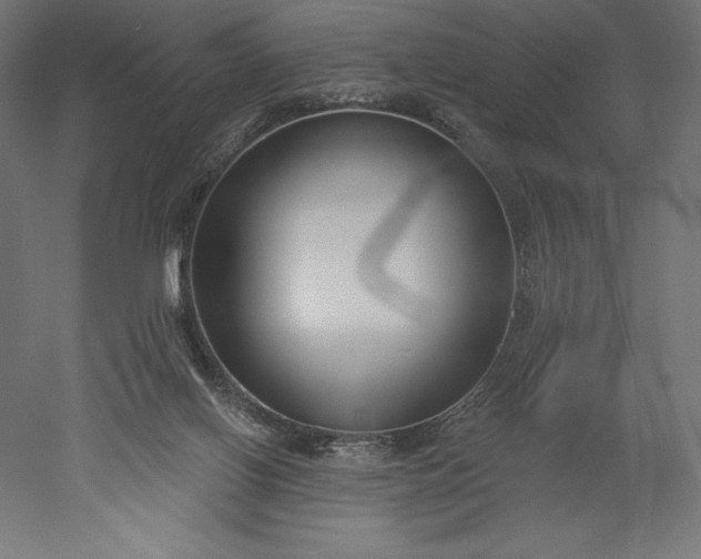 X0000051920070200507011611