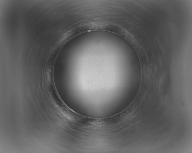X0000051920071200507011611