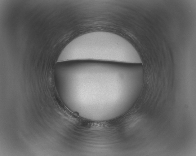 X0000051920077200507011611