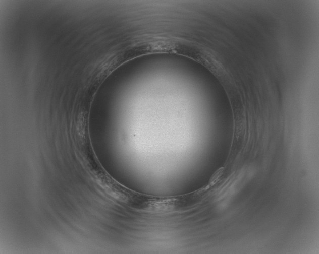X0000051920078200507011611