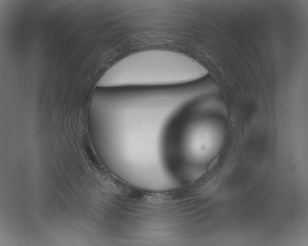 X0000051920079200507011611