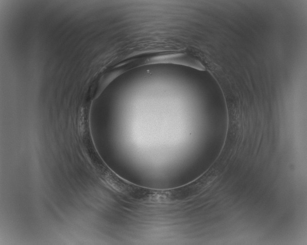 X0000051920080200507011611