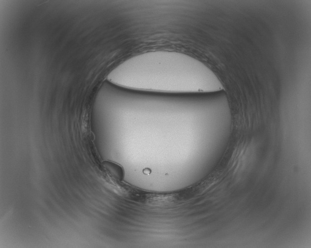 X0000051920081200507011611