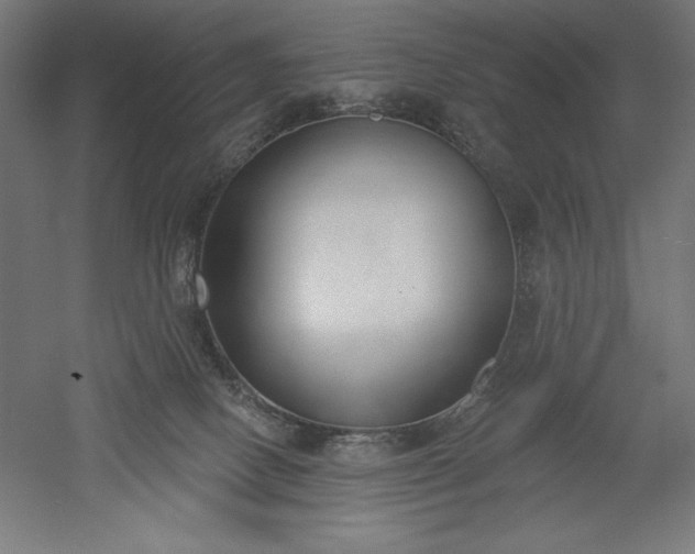 X0000051920082200507011611