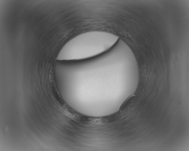 X0000051920083200507011611