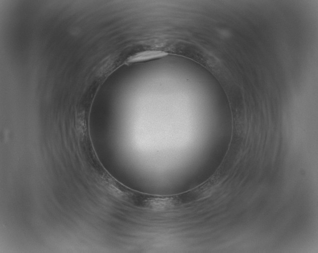 X0000051920085200507011611