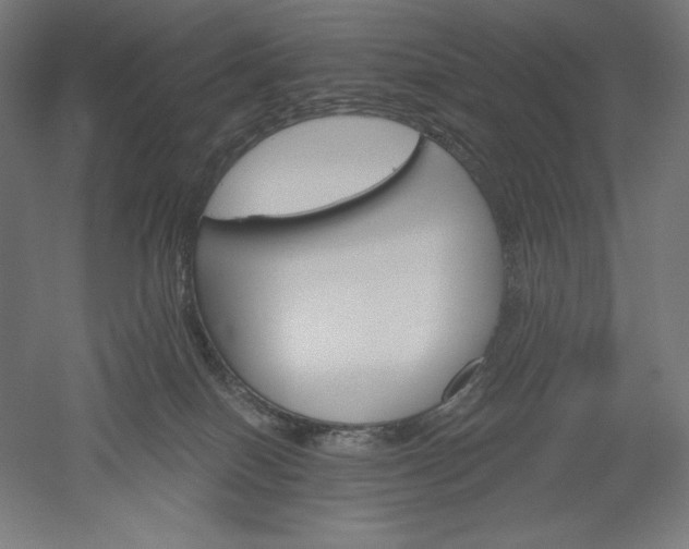 X0000051920086200507011611