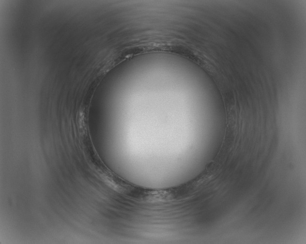 X0000051920087200507011611