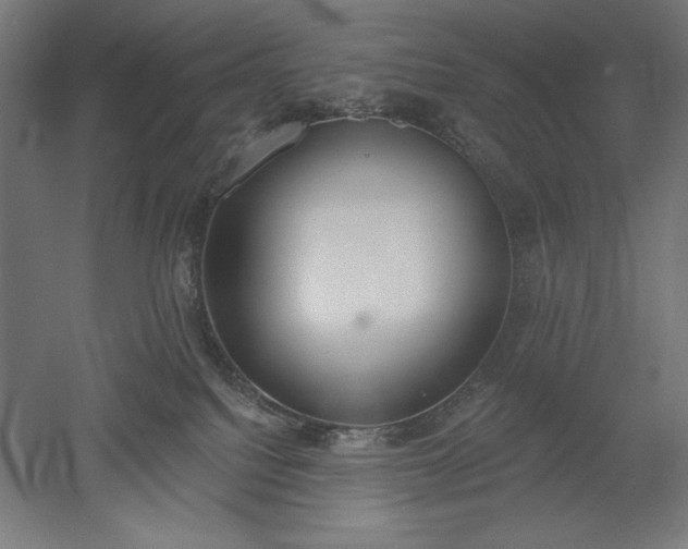 X0000051920088200507011611